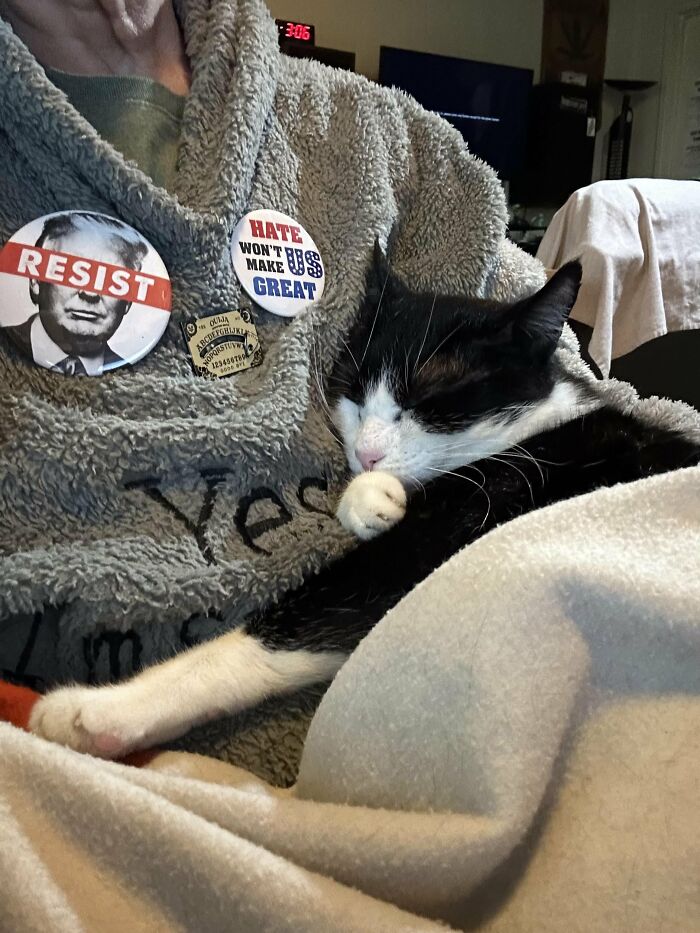 30 Heart-Melting Stories Which Prove That The Cat Chooses Its Parent, Not The Other Way Round 30 Heart-Melting Stories Which Prove That The Cat Chooses Its Parent, Not The Other Way Round