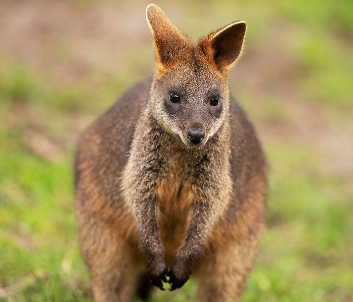 Daughter Disgusted With Dad After Finding Out “Exotic And Illegal” Reason Why Nobody Speaks To Them