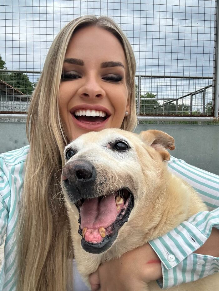 This Senior Dog Spent Years In A Shelter Until One Post Helped Him Find A Family