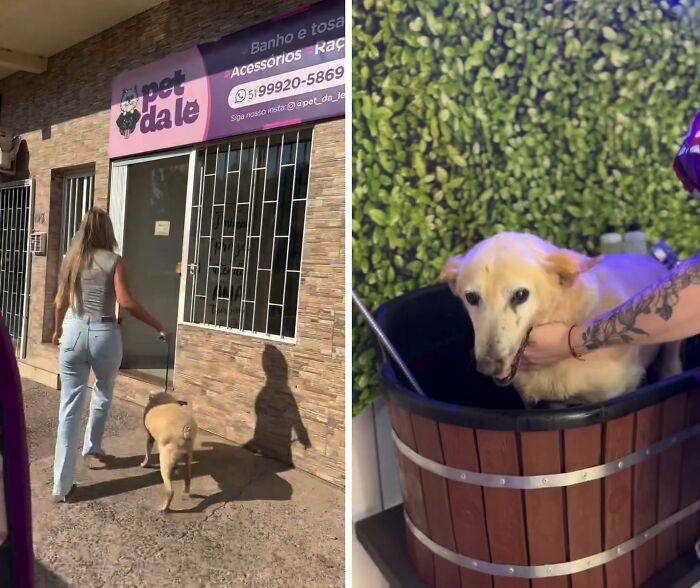 This Senior Dog Spent Years In A Shelter Until One Post Helped Him Find A Family
