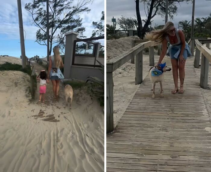 This Senior Dog Spent Years In A Shelter Until One Post Helped Him Find A Family