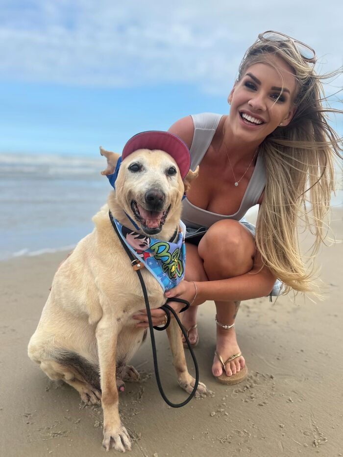 This Senior Dog Spent Years In A Shelter Until One Post Helped Him Find A Family