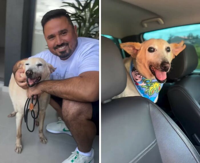This Senior Dog Spent Years In A Shelter Until One Post Helped Him Find A Family