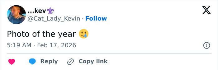 Heartbreaking Video Of Baby Monkey With Stuffed Toy Goes Viral After He Was Abandoned By His Mom