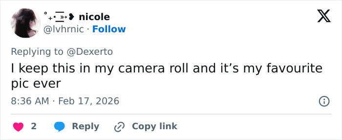 Heartbreaking Video Of Baby Monkey With Stuffed Toy Goes Viral After He Was Abandoned By His Mom