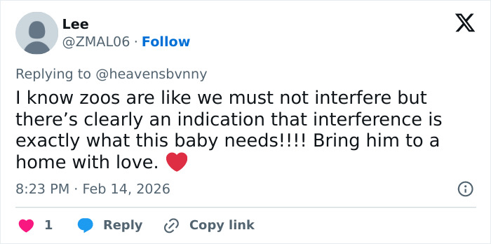 Heartbreaking Video Of Baby Monkey With Stuffed Toy Goes Viral After He Was Abandoned By His Mom