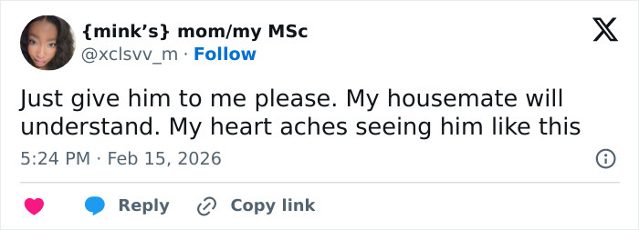 Heartbreaking Video Of Baby Monkey With Stuffed Toy Goes Viral After He Was Abandoned By His Mom