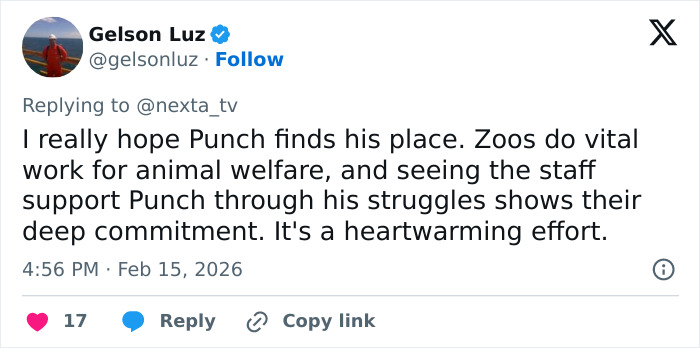 Heartbreaking Video Of Baby Monkey With Stuffed Toy Goes Viral After He Was Abandoned By His Mom