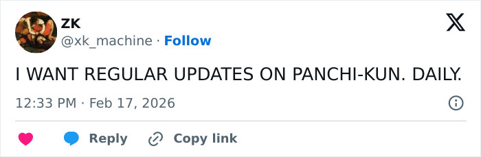 Heartbreaking Video Of Baby Monkey With Stuffed Toy Goes Viral After He Was Abandoned By His Mom