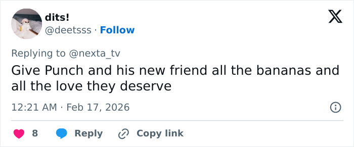 Heartbreaking Video Of Baby Monkey With Stuffed Toy Goes Viral After He Was Abandoned By His Mom