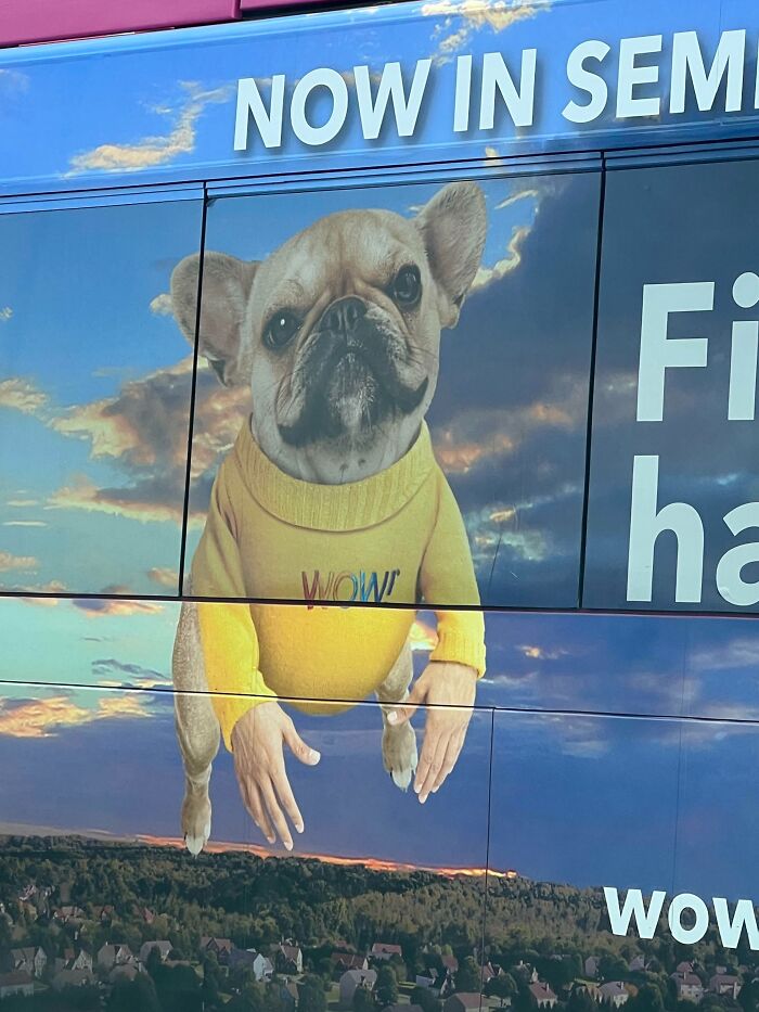 55 Hilarious Photoshop Fails That Should Not Have Been Posted