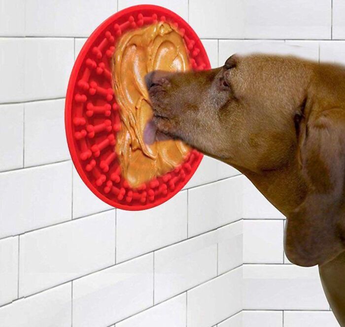 55 Hilarious Photoshop Fails That Should Not Have Been Posted