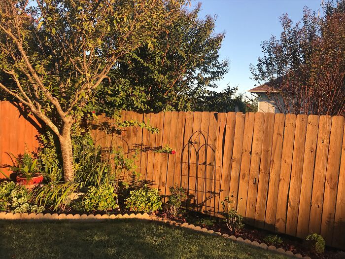 45 Times People Confused The Hell Out Of Neighbors 45 Times People Confused The Hell Out Of Neighbors