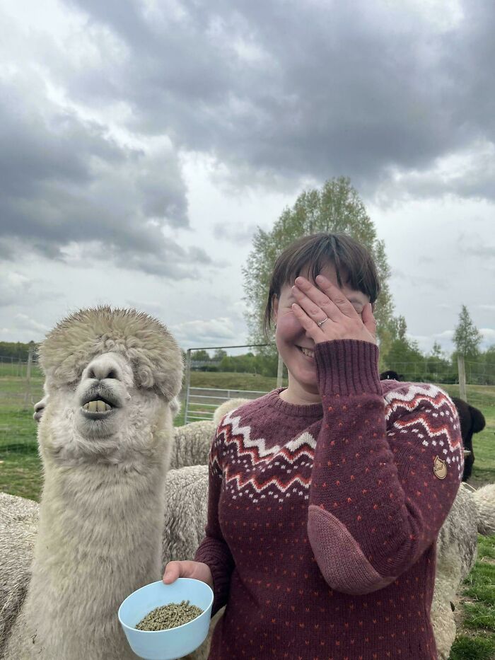 103 Horribly Unphotogenic Animals That Might Make You Laugh Way Harder Than You Should (New Pics)