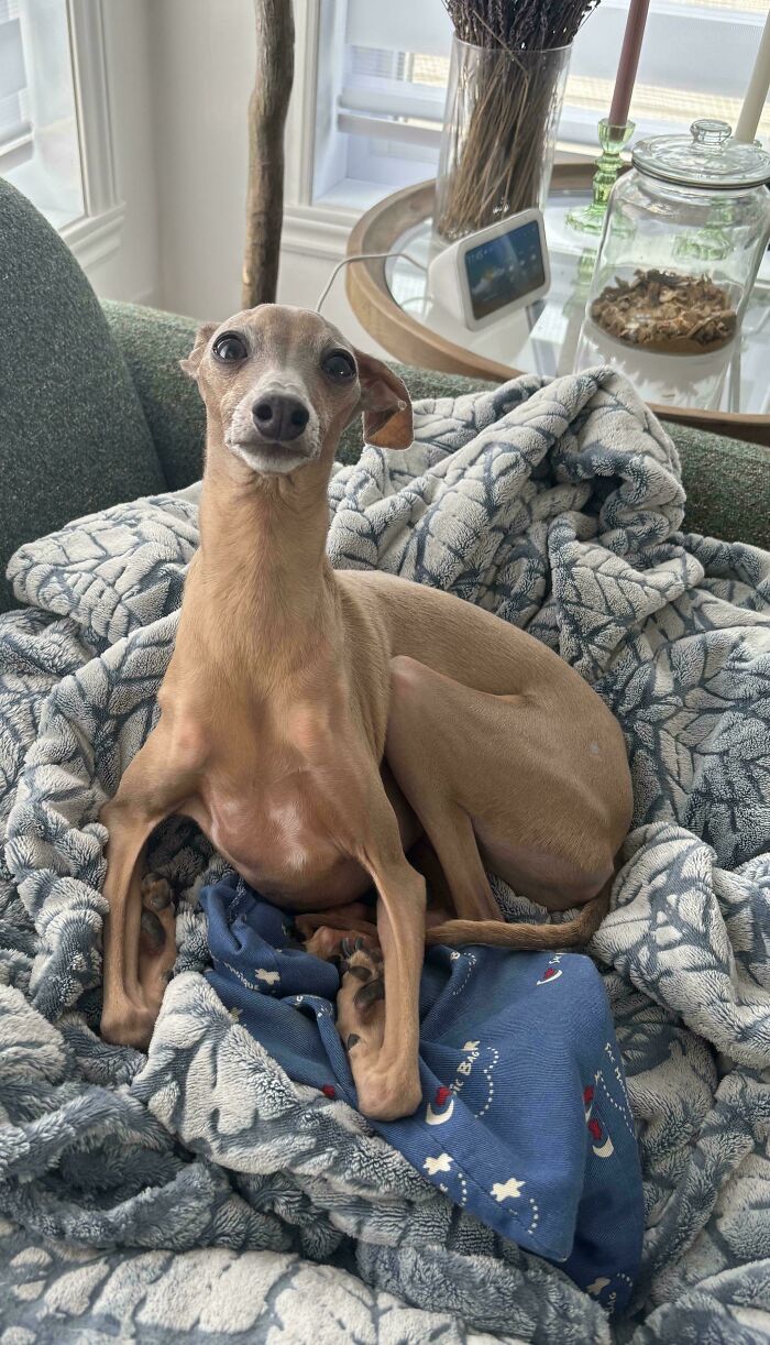 103 Horribly Unphotogenic Animals That Might Make You Laugh Way Harder Than You Should (New Pics)