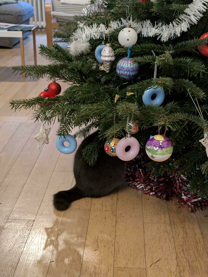 103 Horribly Unphotogenic Animals That Might Make You Laugh Way Harder Than You Should (New Pics)