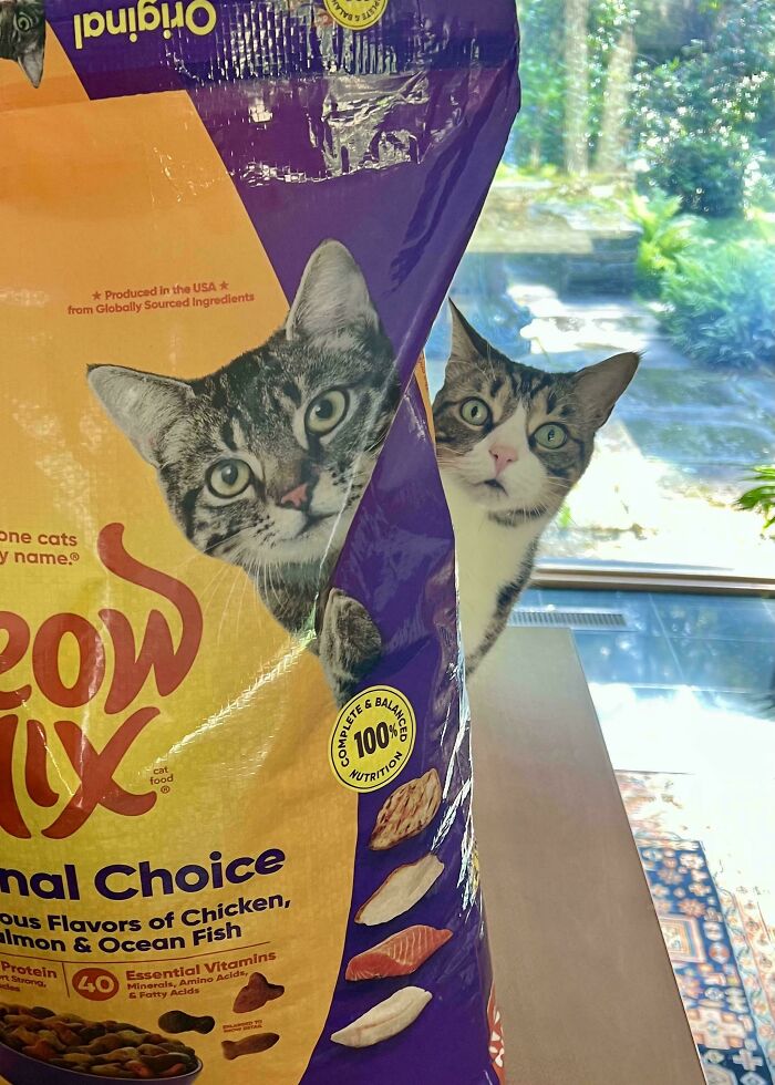 103 Horribly Unphotogenic Animals That Might Make You Laugh Way Harder Than You Should (New Pics)