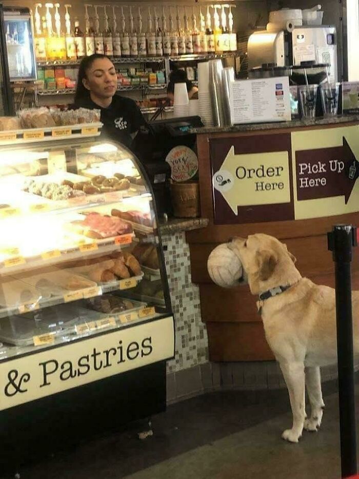 103 Horribly Unphotogenic Animals That Might Make You Laugh Way Harder Than You Should (New Pics)