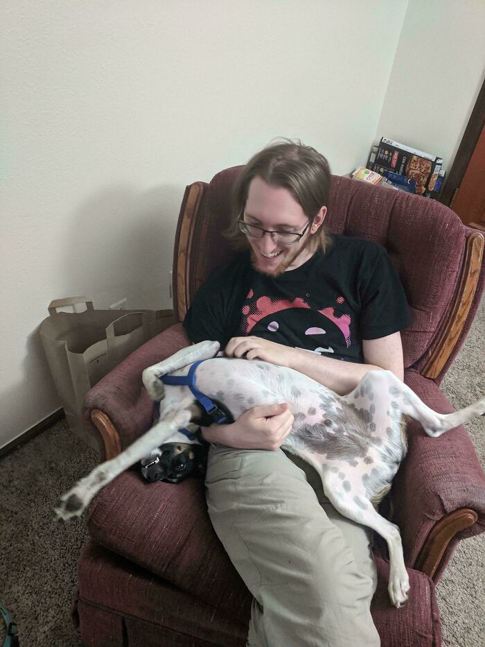 103 Horribly Unphotogenic Animals That Might Make You Laugh Way Harder Than You Should (New Pics)