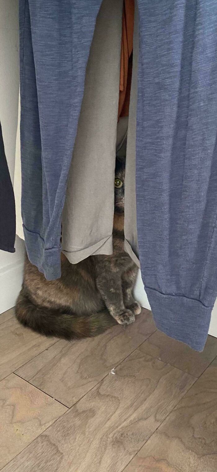 103 Horribly Unphotogenic Animals That Might Make You Laugh Way Harder Than You Should (New Pics)