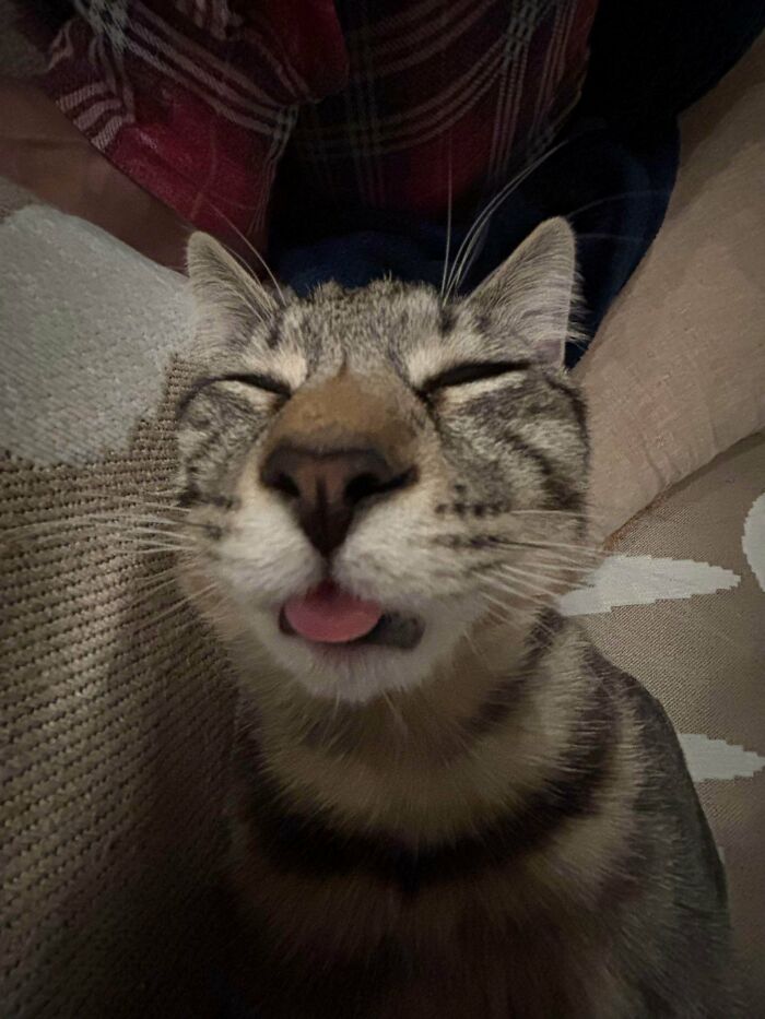 103 Horribly Unphotogenic Animals That Might Make You Laugh Way Harder Than You Should (New Pics)