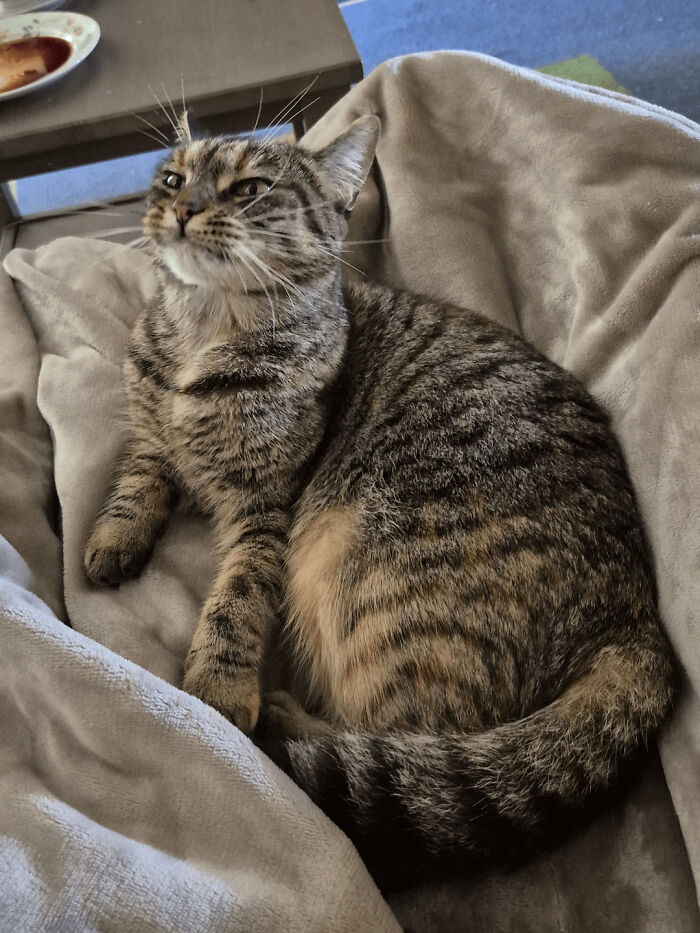 103 Horribly Unphotogenic Animals That Might Make You Laugh Way Harder Than You Should (New Pics)