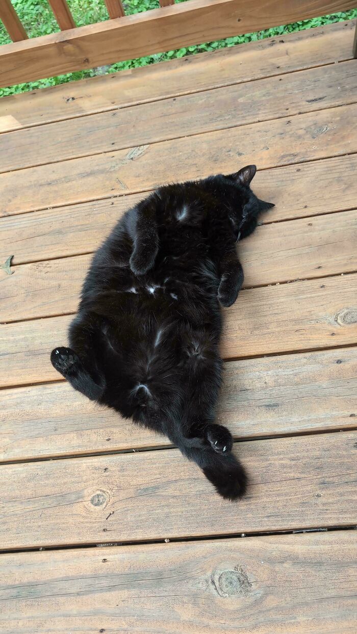 103 Horribly Unphotogenic Animals That Might Make You Laugh Way Harder Than You Should (New Pics)