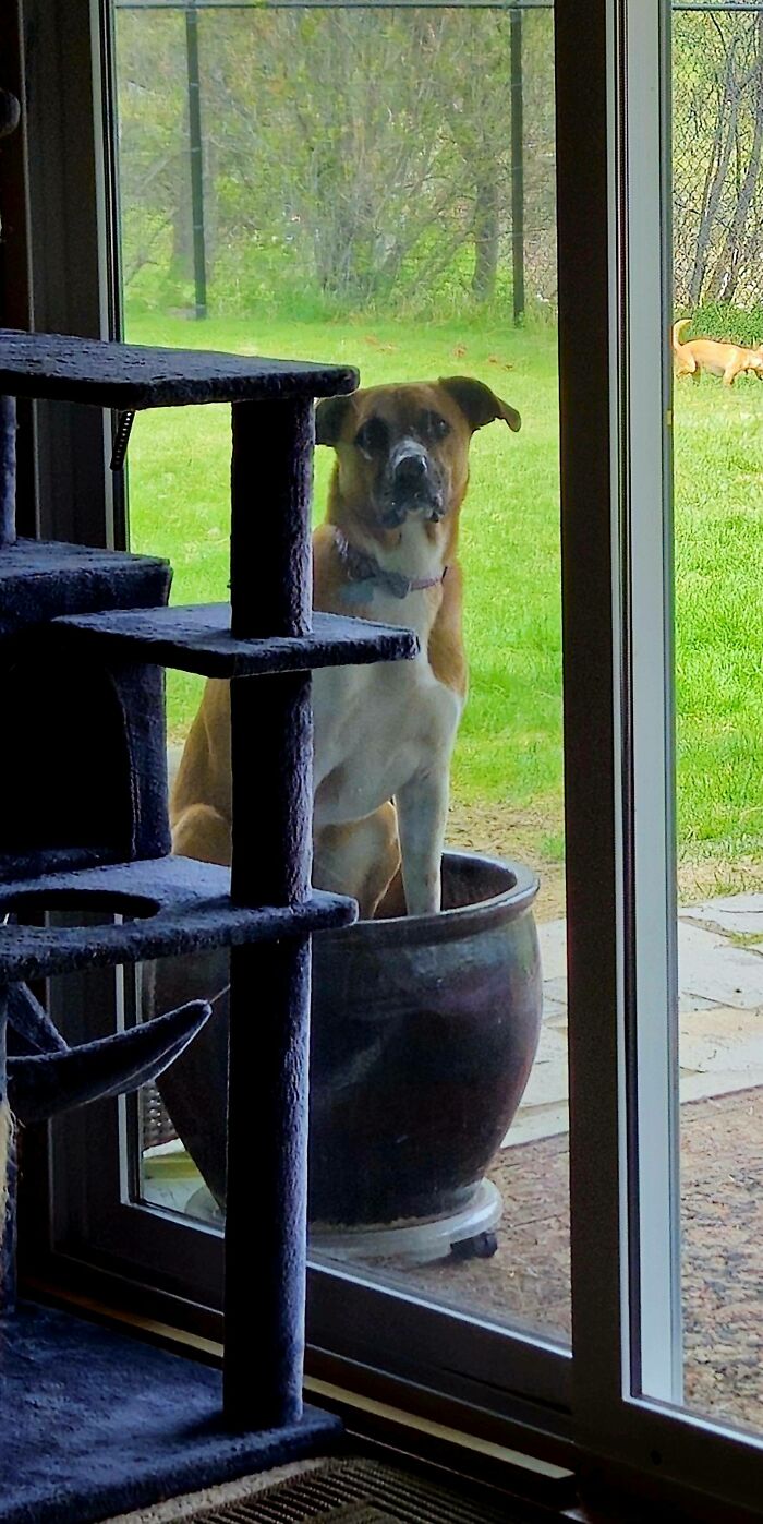 103 Horribly Unphotogenic Animals That Might Make You Laugh Way Harder Than You Should (New Pics)