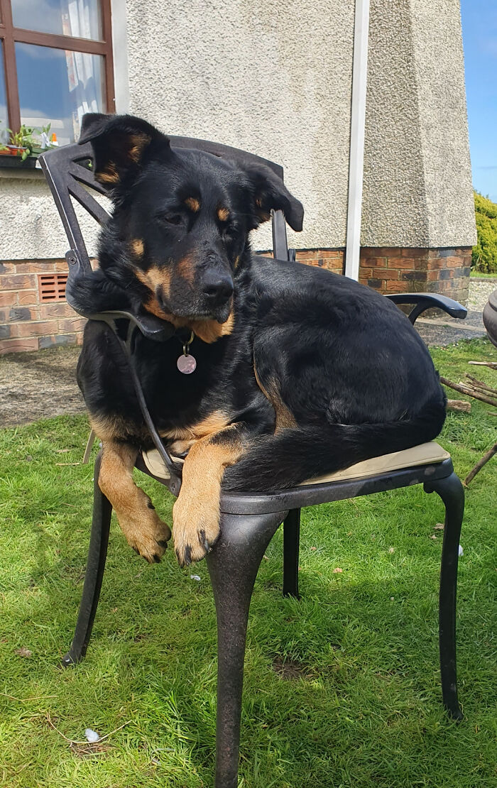 103 Horribly Unphotogenic Animals That Might Make You Laugh Way Harder Than You Should (New Pics)