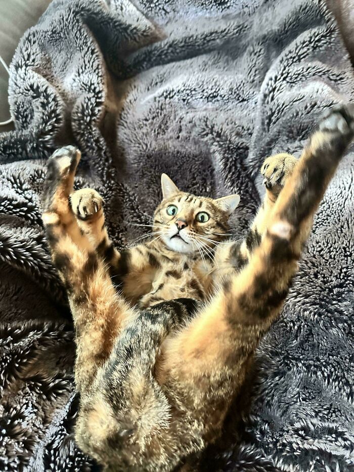 103 Horribly Unphotogenic Animals That Might Make You Laugh Way Harder Than You Should (New Pics)