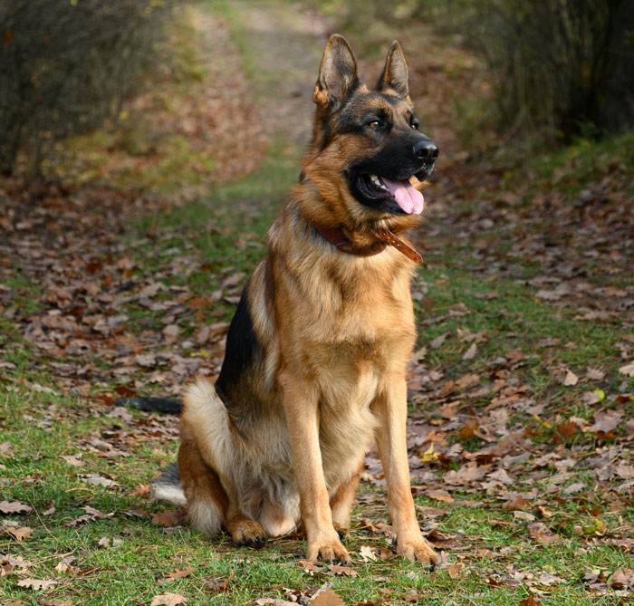 46 Divorce Lawyers Share Stories So Messed Up They Still Haunt Them Today 46 Divorce Lawyers Share Stories So Messed Up They Still Haunt Them Today