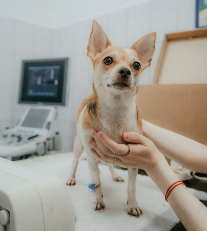 46 Divorce Lawyers Share Stories So Messed Up They Still Haunt Them Today 46 Divorce Lawyers Share Stories So Messed Up They Still Haunt Them Today