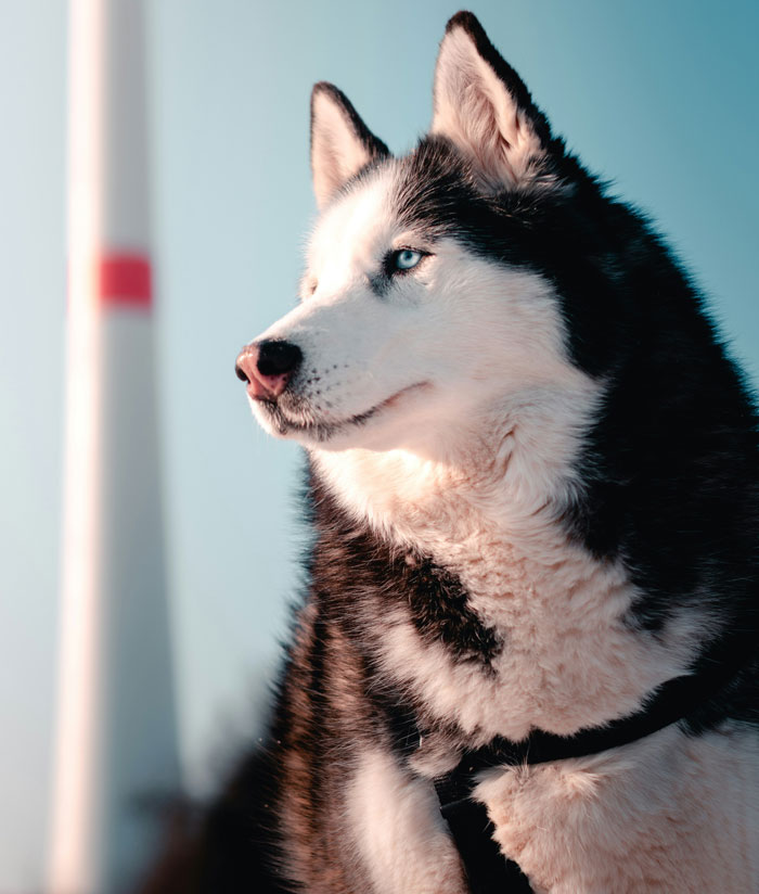 46 Divorce Lawyers Share Stories So Messed Up They Still Haunt Them Today 46 Divorce Lawyers Share Stories So Messed Up They Still Haunt Them Today