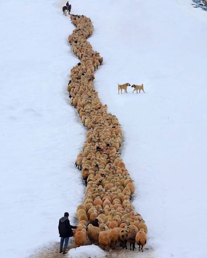 37 Of The Most Interesting Images Picked By The Decisive Moments Magazine (New Pics) 37 Of The Most Interesting Images Picked By The Decisive Moments Magazine (New Pics)