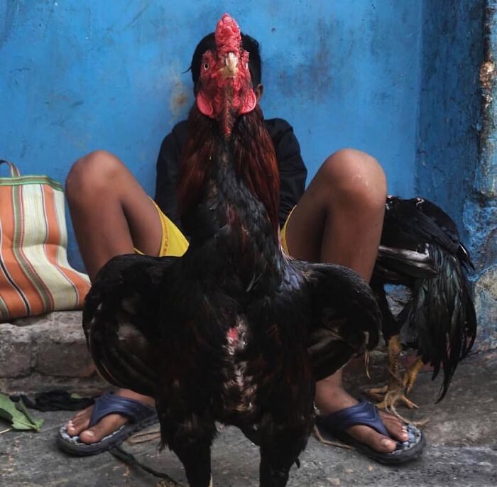 37 Of The Most Interesting Images Picked By The Decisive Moments Magazine (New Pics) 37 Of The Most Interesting Images Picked By The Decisive Moments Magazine (New Pics)