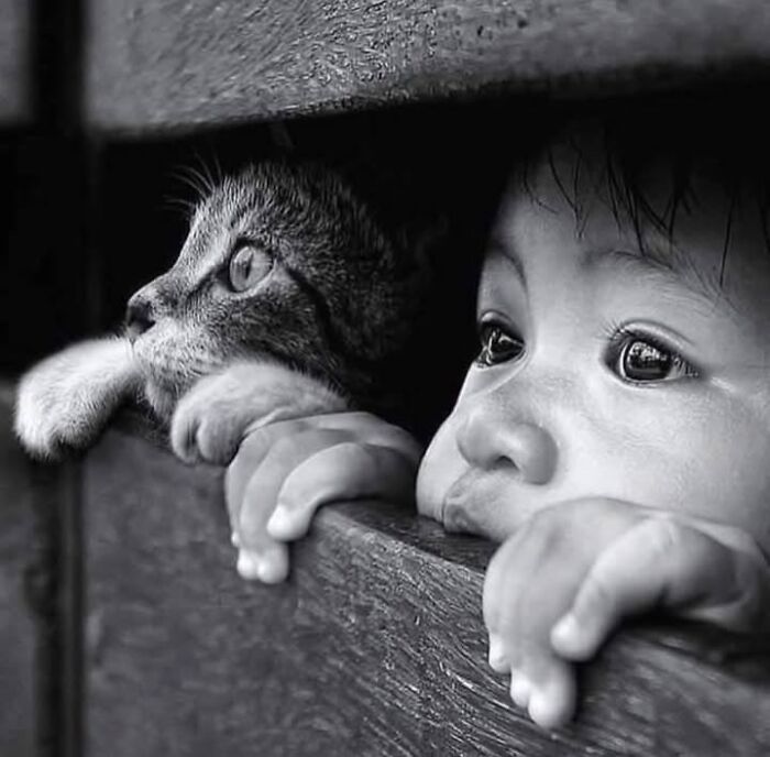 37 Of The Most Interesting Images Picked By The Decisive Moments Magazine (New Pics) 37 Of The Most Interesting Images Picked By The Decisive Moments Magazine (New Pics)