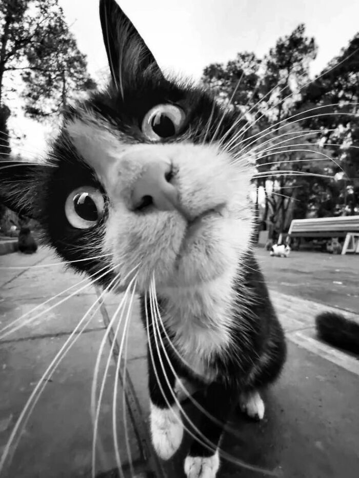 37 Of The Most Interesting Images Picked By The Decisive Moments Magazine (New Pics) 37 Of The Most Interesting Images Picked By The Decisive Moments Magazine (New Pics)