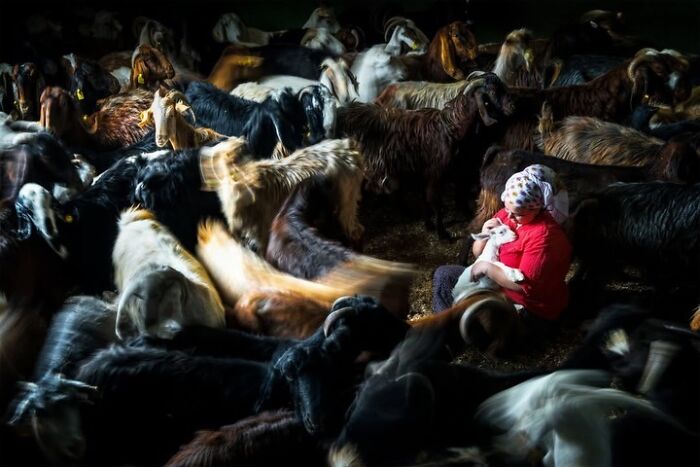 37 Of The Most Interesting Images Picked By The Decisive Moments Magazine (New Pics) 37 Of The Most Interesting Images Picked By The Decisive Moments Magazine (New Pics)