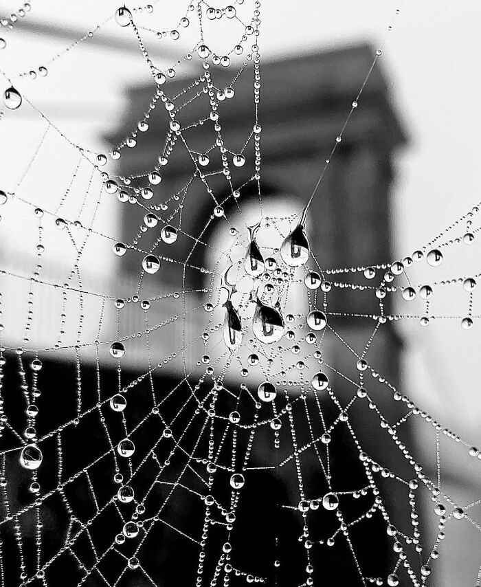 37 Of The Most Interesting Images Picked By The Decisive Moments Magazine (New Pics) 37 Of The Most Interesting Images Picked By The Decisive Moments Magazine (New Pics)