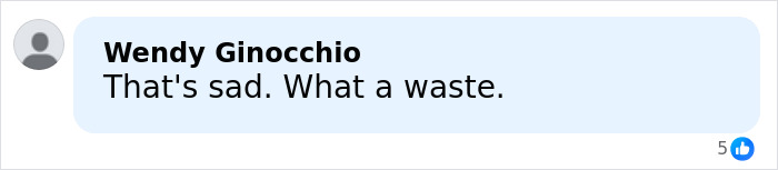 Tommy Lee Jones&rsquo; Daughter&rsquo;s Cause Of Passing Revealed After Her Body Was Found In A Ritzy Hotel