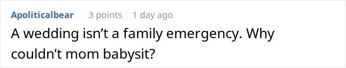 Woman Goes To Concert Instead Of Babysitting Sister’s Kids, Gets Accused Of Being Selfish