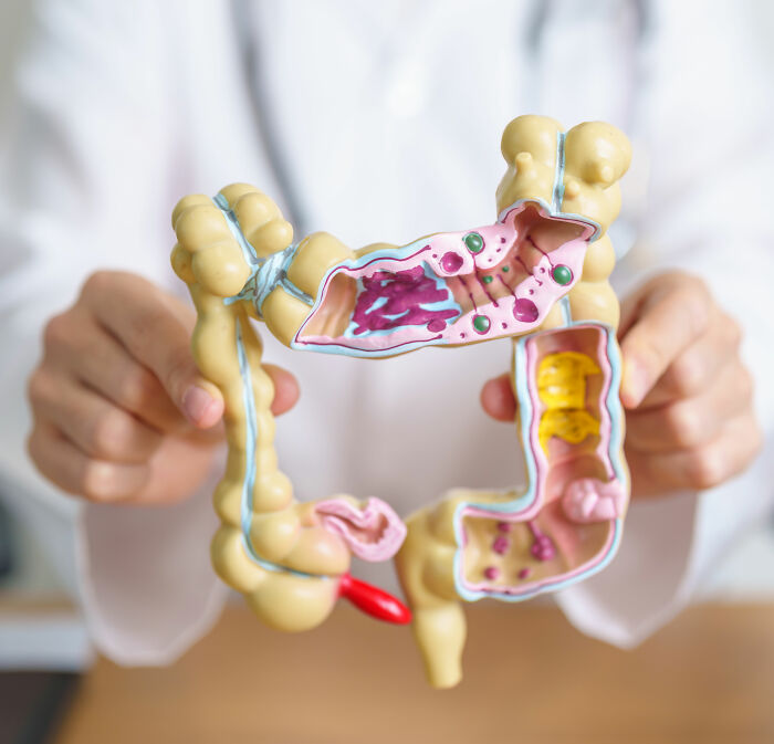 Colon Cancer Breakthrough Emerges After Illness Claims James Van Der Beek And Catherine O’Hara