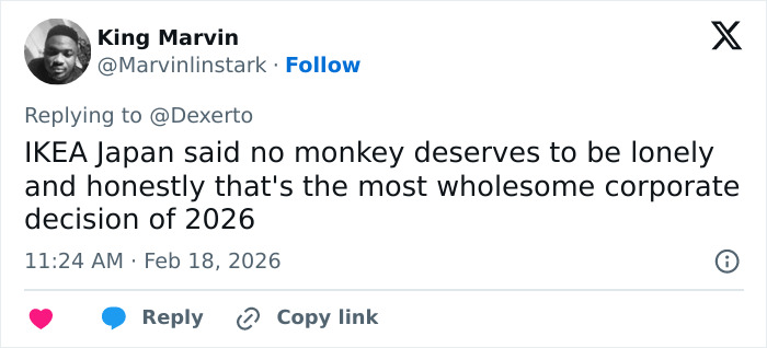 IKEA praised for generous gift to baby monkey Punch who went viral after mom abandoned him