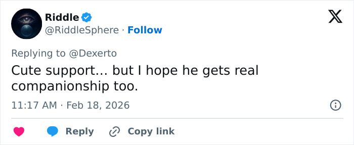 IKEA praised for generous gift to baby monkey Punch who went viral after mom abandoned him