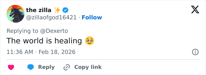 IKEA praised for generous gift to baby monkey Punch who went viral after mom abandoned him