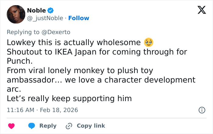 IKEA praised for generous gift to baby monkey Punch who went viral after mom abandoned him