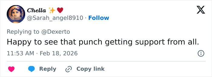 IKEA praised for generous gift to baby monkey Punch who went viral after mom abandoned him