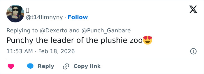 IKEA praised for generous gift to baby monkey Punch who went viral after mom abandoned him