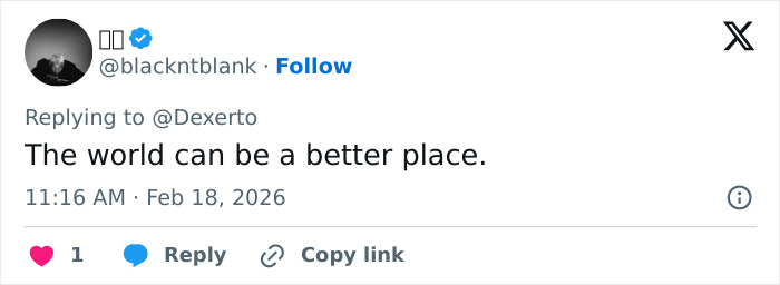 IKEA praised for generous gift to baby monkey Punch who went viral after mom abandoned him