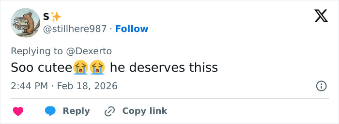 IKEA praised for generous gift to baby monkey Punch who went viral after mom abandoned him